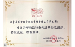 冠世公司黨支部被授予市級“先進基層黨組織” 榮譽稱號