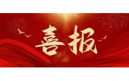 喜訊！冠世集團旗下擔保公司入圍自治區首批再擔保體系